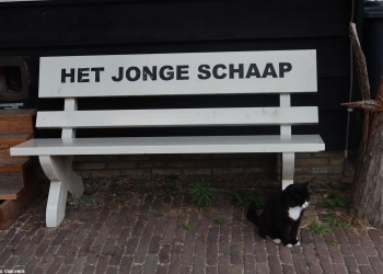 Jacco 144